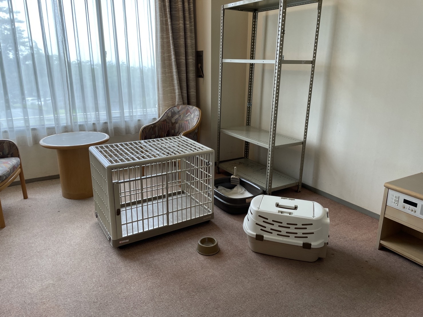 ペットお預かり